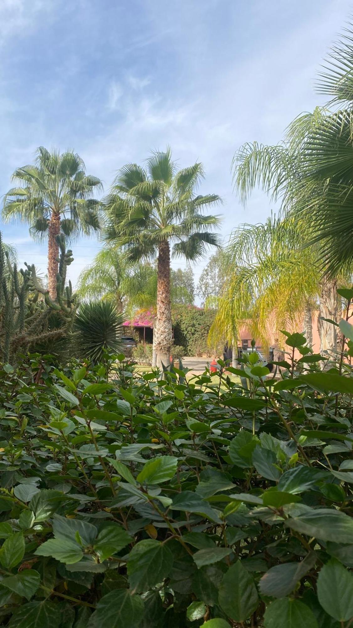 Le Rubis Oriental Marrakech Hotel อซิป โอลัด ลาเดม ภายนอก รูปภาพ